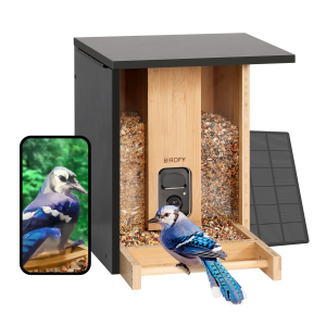 Birdfy Smart Feeder with Camera Solar Powered - AI Lifetime Free Bamboo