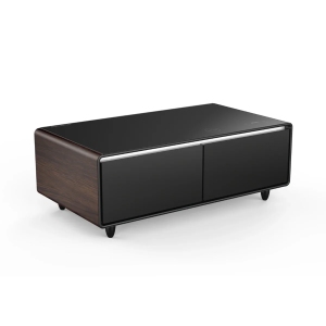 SERA BATHROOM Kendall Smart Coffee Table with Refrigerated Drawers, Bluetooth Speakers, Wireless Charging & LED Touch Control, Wood Color