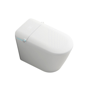 SERA BATHROOM Stevie Smart Bidet Toilet, One-Piece Toilet with Auto Jet Flush, Auto Open/Close Lid, Warm Water Wash, Warm-Air Dryer, Heated Seat, White Trim