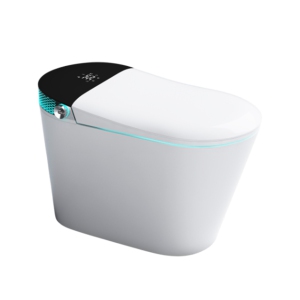 SERA BATHROOM Wynter Smart Bidet Toilet, One-Piece Toilet with Auto Jet Flush, Auto Open/Close Lid, Warm Water Wash, Warm-Air Dryer, Heated Seat, Black Display