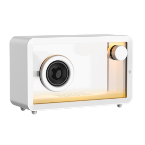 Transparent Bluetooth speaker with RGB colorful atmosphere light, subwoofer, 2000mAh battery life, stereo sound, support TF card/U disk playback, portable desktop computer speaker