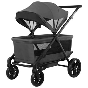 Evenflo OmniCrew 3-in1 Double Stroller Wagon - Oyster Grey