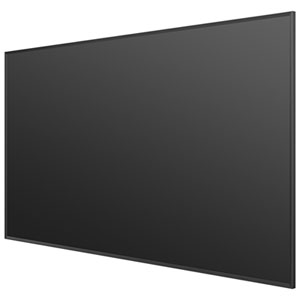 Hisense 100" Fixed Front Projector Screen (DLT100-E)