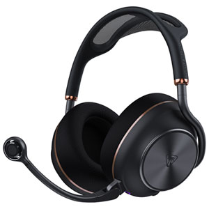 Turtle Beach Stealth Pro II Wireless Gaming Headset for PC / PS4 / PS5 - Black