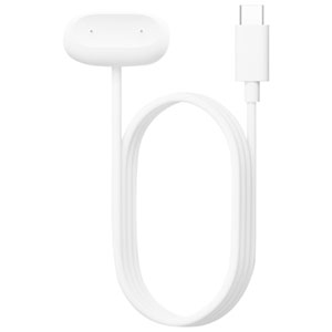 Google Fitbit Air USB-C Charging Cable