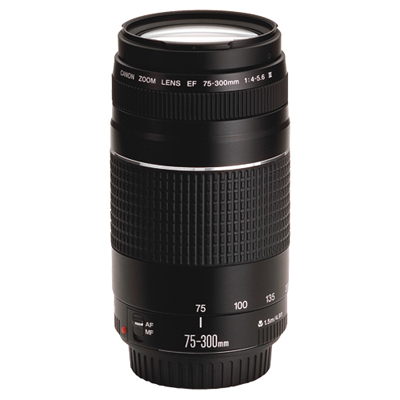 Image of Canon EF 75-300mm f/4-5.6 DC Zoom Lens