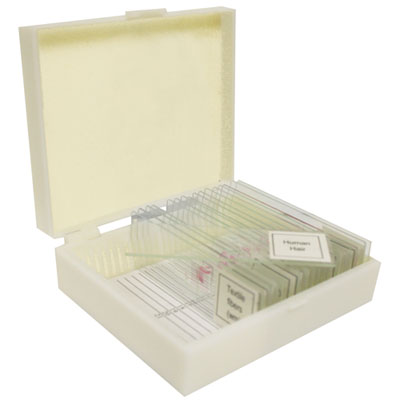 Walter Products Human Pathology Prepared Slide Set - 12 Piece