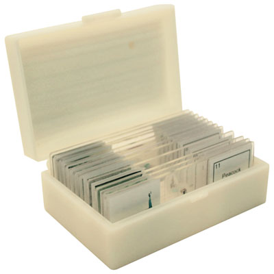 Image of Walter Products Pollen & Spores Prepared Slides - Set of 12