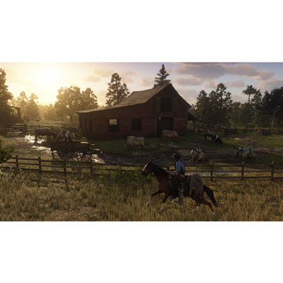 Red dead redemption 2 pre 2024 owned ps4