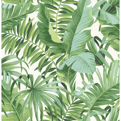 A-Street Prints Solstice Alfresco Palm Leaf Wallpaper - Green