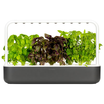 Click & Grow Smart Garden 9 (SG9S8US) - Grey Simple home garden