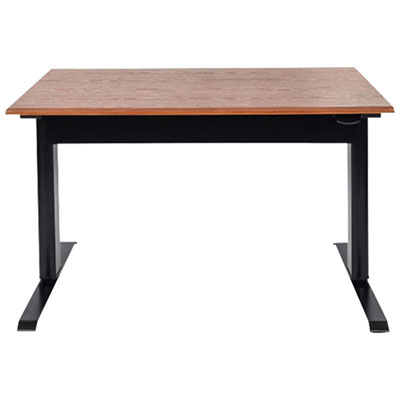 Bureau Debout Pneumatique À Hauteur Réglable De 48 Po De Large De Luxor
