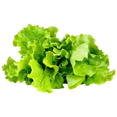 Image of Click & Grow Lettuce Seed Capsule Refill - 3 Pack