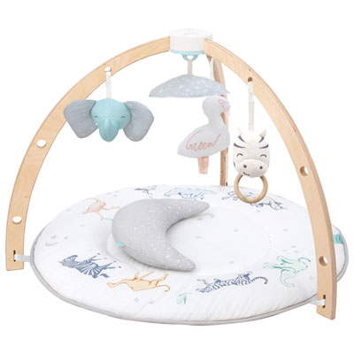 Image of Aden + Anais Baby Play Activity Gym Mat