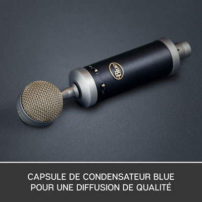 Blue Microphones Baby Bottle SL XLR Condenser Microphone | Best