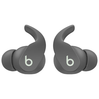 Image of Beats By Dr. Dre Fit Pro In-Ear Noise Cancelling True Wireless Earbuds - Sage Grey