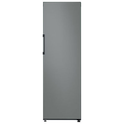 Open Box - Samsung 14 CuFt All-Fridge Refrigerator (RR14T7414AP/AA) -Custom Panel Ready -Scratch & Dent