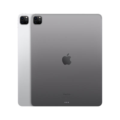 Acheter iPad 10,2 po Wi‑Fi + Cellular de 256 Go - Gris cosmique - Apple (CA)