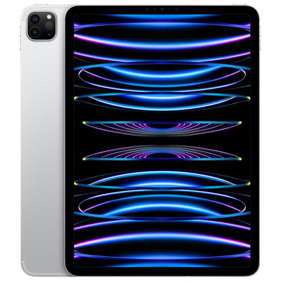 Ipad Pro 11 Po 512 Go Wi-Fi Et 5G D'apple Avec Telus (4E Gén.) - Argenté - Financement Mensuel