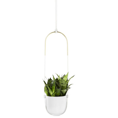 Image of Umbra Bolo Modern Hanging Planter - White