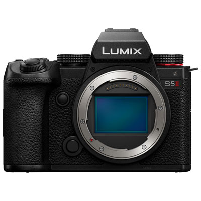 Panasonic LUMIX DCS5M2 Full-Frame Mirrorless Camera (Body Only) Nice entry level professional camera
