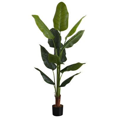 Image of Monarch Artificial 59   Indoor Strelitzia Tree Pot