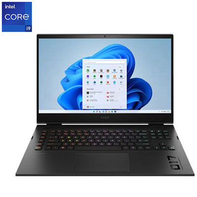 Open Box - HP OMEN 17" Gaming Laptop - Shadow Black (Intel Core i9-13900HX/2TB SSD/32GB RAM/GeForce RTX 4080)
