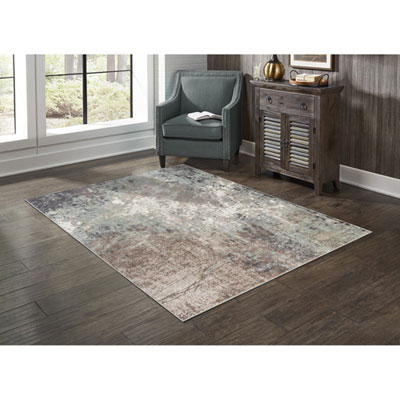 Carpette De 7 X 9 Pi Gloria - Blanc/argenté
