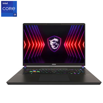 MSI Vector 17 Series 17" Gaming Laptop -Cosmos Grey (Intel Core i9-14900HX /1TB/32GB RAM/GeForce RTX 4070)