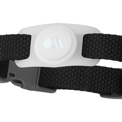 Image of Case-Mate Dog Collar Case for AirTag - Glow-in-the-Dark