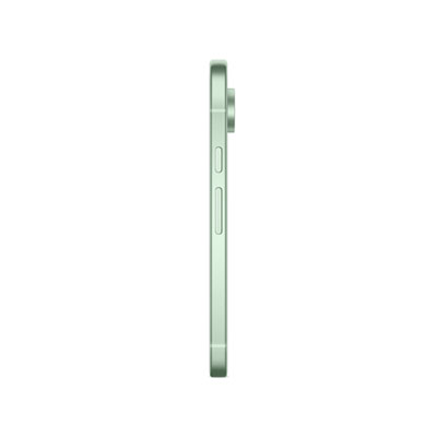 Freedom Mobile Google Pixel 9 128GB - Wintergreen - Monthly Tab