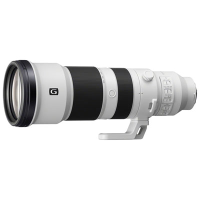 Sony E-Mount FE 400-800mm f/6.3-8 G OSS XD Telephoto Zoom Lens Great lens and reach for wildlife