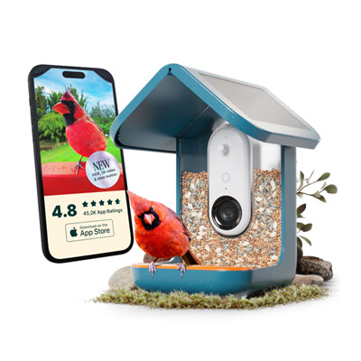 Bird Buddy Pro Solar Smart Bird Feeder w/ Cam + Perch Extender - Blue - Exclusive Retail Partner