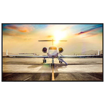 Sharp 43" PN-M Series 4K UHD HDR Commercial Display (PN-M432)