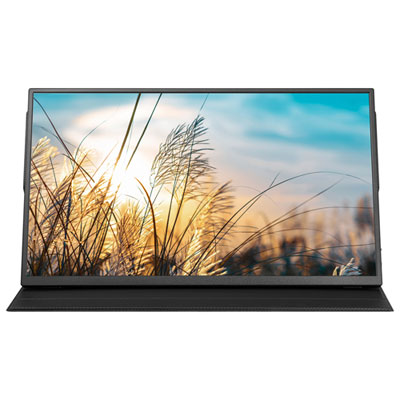 "Insignia 15.6"" FHD IPS LED Portable Monitor (NS-156PM-C) - USB-C - Only at Best Buy"