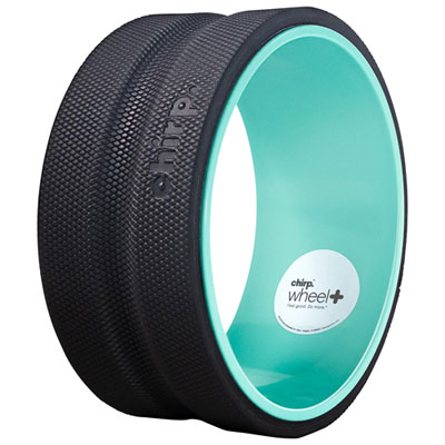"Chirp Wheel Plus 10"" Firm Roller - Mint"