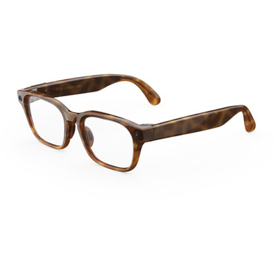 Meta Adventurer AI Glasses with AI, Photo, Video, Audio & Messaging - Tortoise/Clear - Large