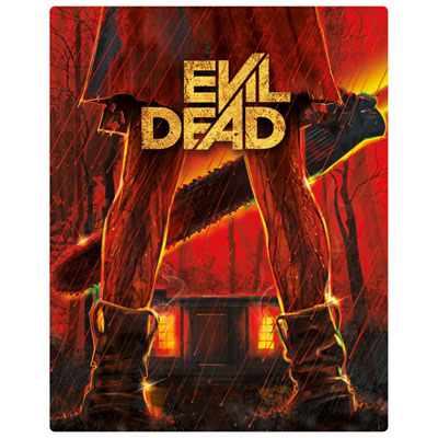 Dead 2013 The Evil Dead Amazon Prime Evil Dead (DVD)