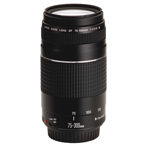 Canon EF 75-300mm f/4-5.6 DC Zoom Lens | Best Buy Canada