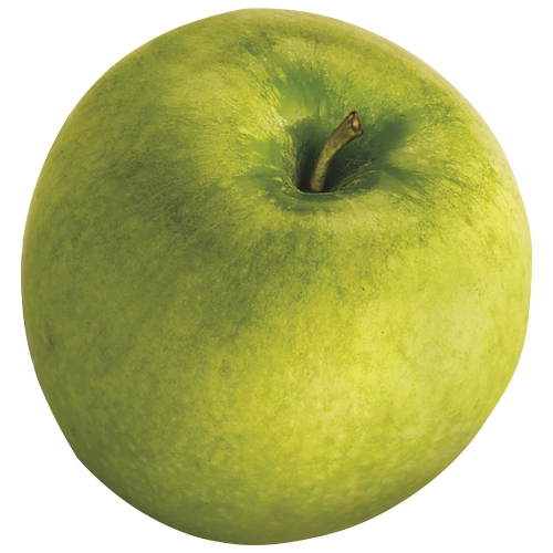 Hamilton Beach Big Mouth Juice Extractor - Silver/Black