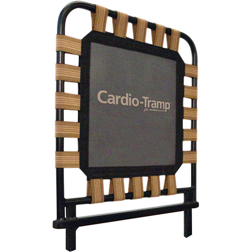 Merrithew SPX Max Reformer with Cardio-Tramp rebounder  Classifieds for  Jobs, Rentals, Cars, Furniture and Free Stuff