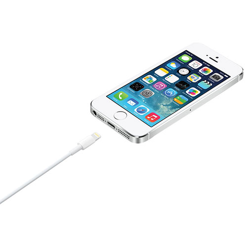 Apple 2m (6.5 ft.) Lightning to USB Cable (MD819AM/A) | Best Buy