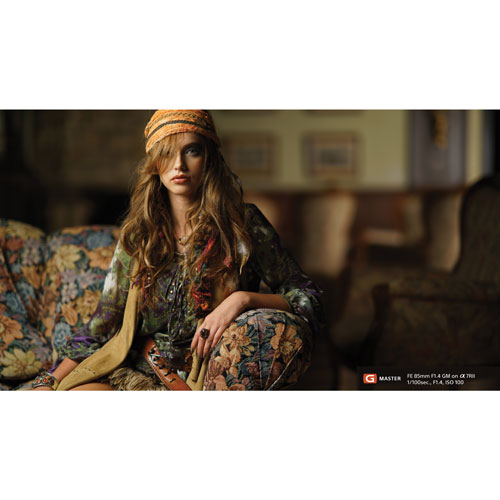 Sony E-Mount Full-Frame FE 85mm f/1.4 Premium G Master Portrait Prime Lens