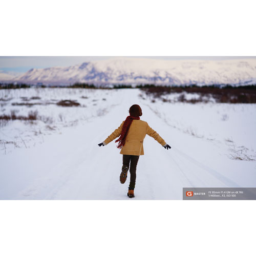 Sony E-Mount Full-Frame FE 85mm f/1.4 Premium G Master Portrait Prime Lens