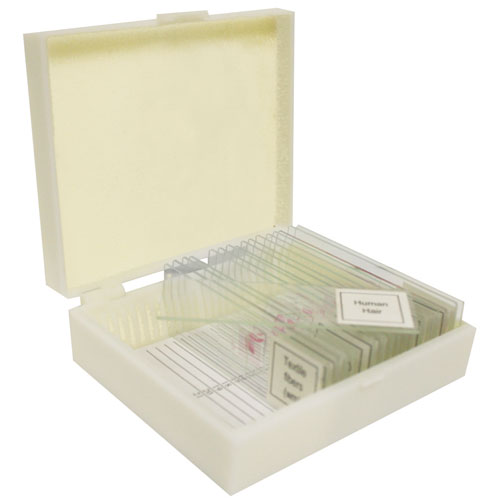 Walter Products Microbiology and Genetics Prepared Slide Set - 5 Piece