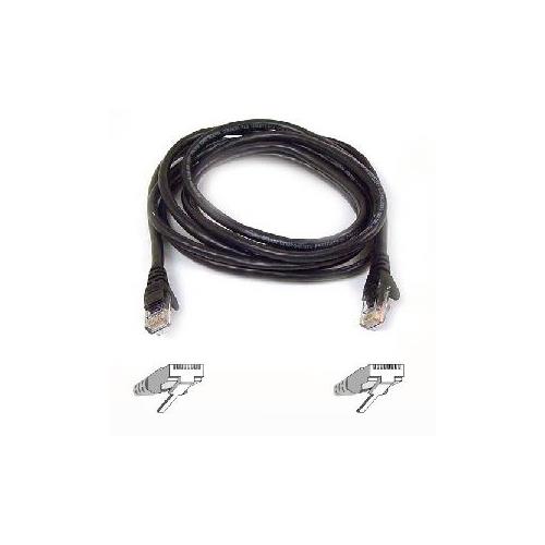 Belkin Cat6 Cable