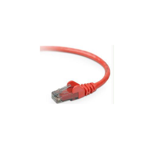 Belkin Cat6 Cable