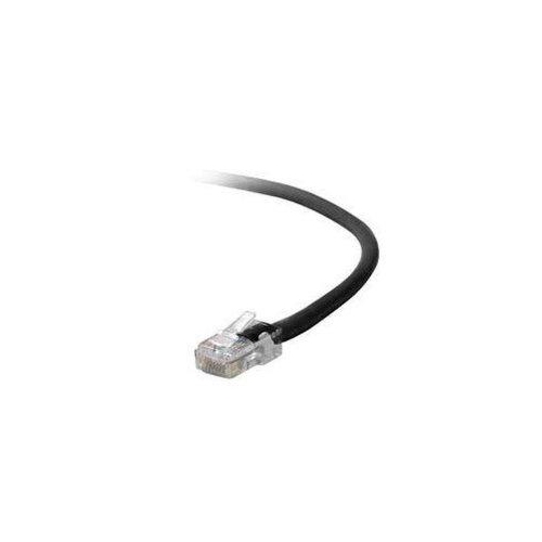 Belkin Cat6 Cable