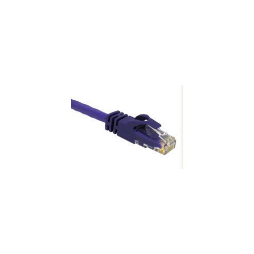 CABLES TO GO  1Ft Cat6 Snagless Unshielded (Utp) Network Patch Cable - In Purple