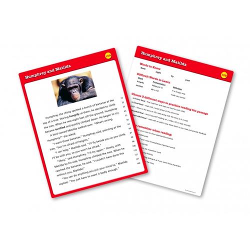 Learning Resources Reading Fluency Cards (18088) - Sand